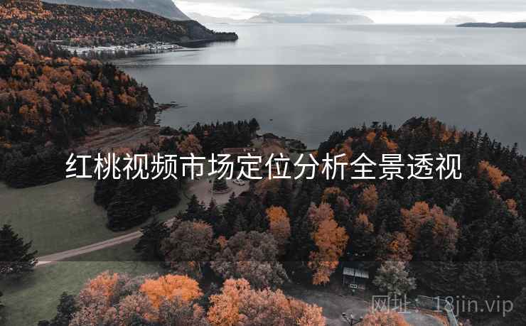 红桃视频市场定位分析全景透视
