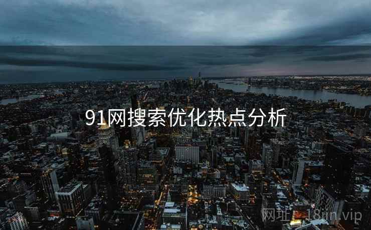 91网搜索优化热点分析