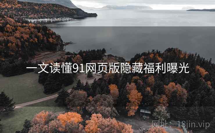 一文读懂91网页版隐藏福利曝光
