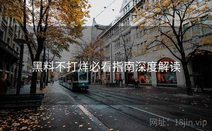 黑料不打烊必看指南深度解读