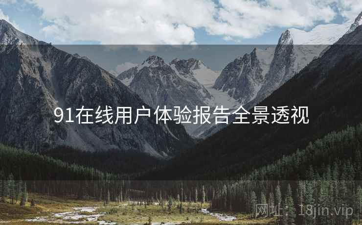 91在线用户体验报告全景透视