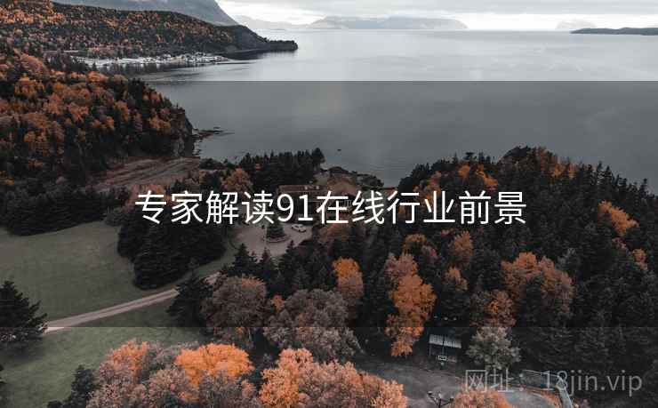 专家解读91在线行业前景