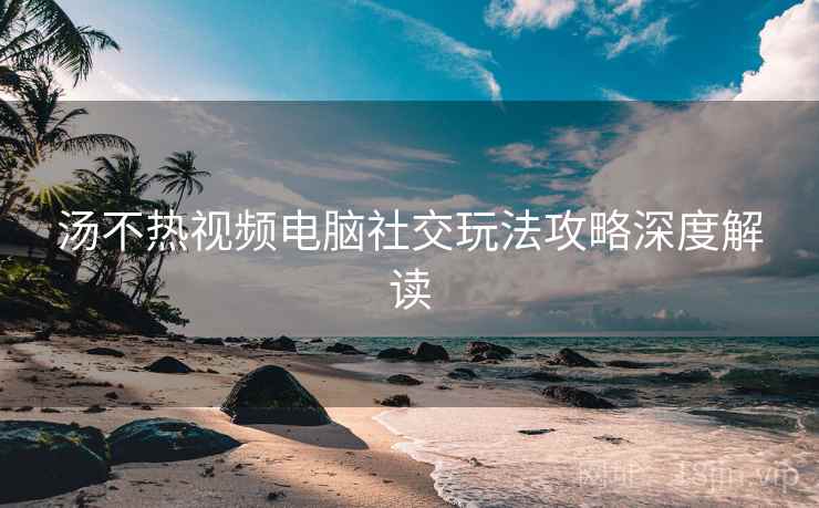 汤不热视频电脑社交玩法攻略深度解读