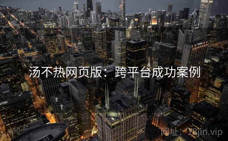 汤不热网页版：跨平台成功案例