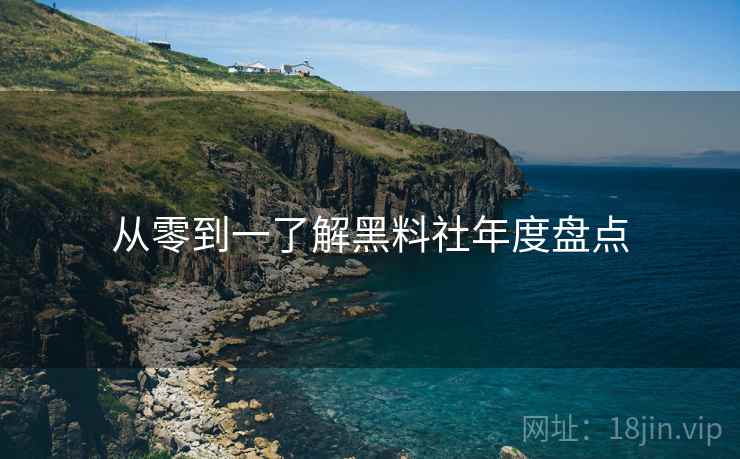 从零到一了解黑料社年度盘点