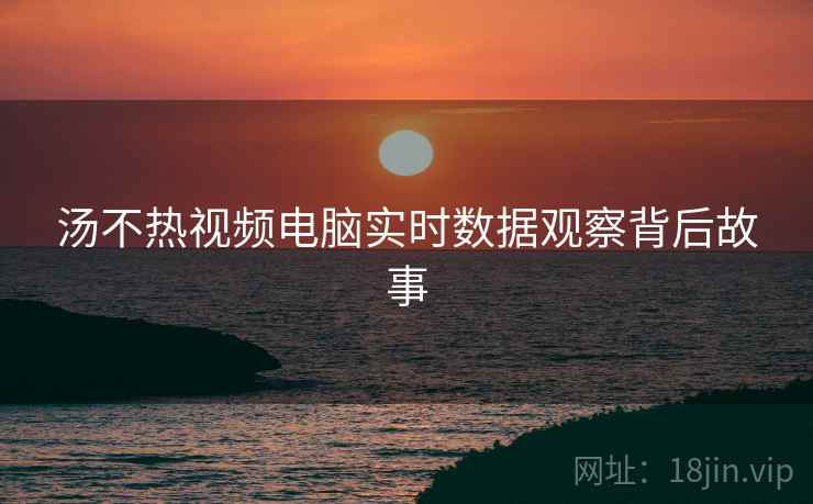 汤不热视频电脑实时数据观察背后故事