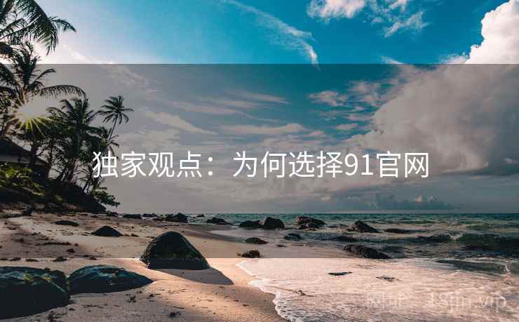 独家观点：为何选择91官网