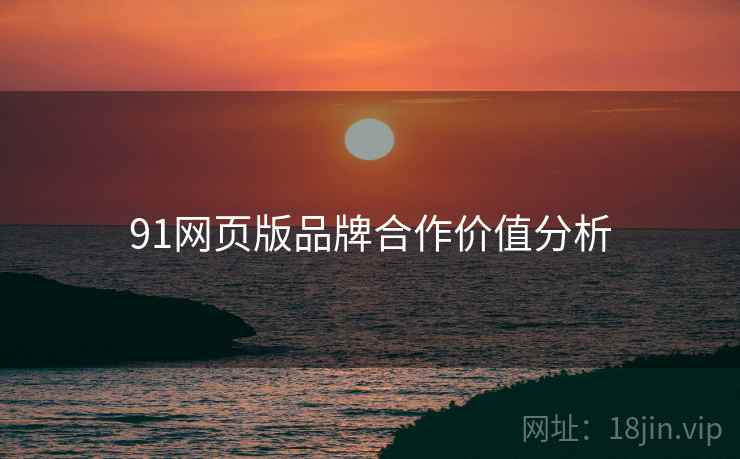 91网页版品牌合作价值分析