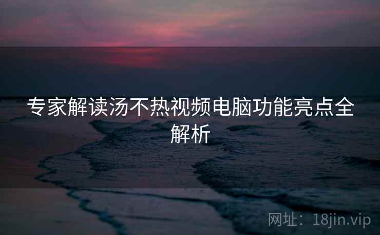 专家解读汤不热视频电脑功能亮点全解析