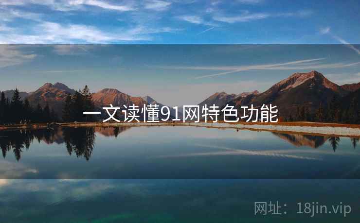 一文读懂91网特色功能